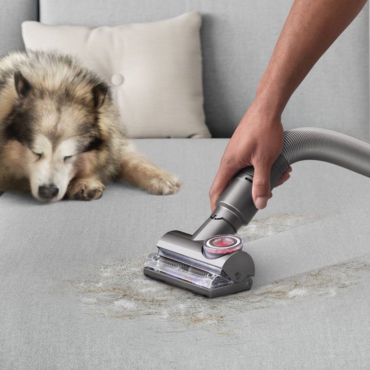 Carpet cleaner