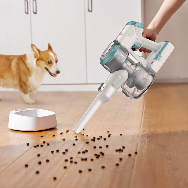 Vacuum