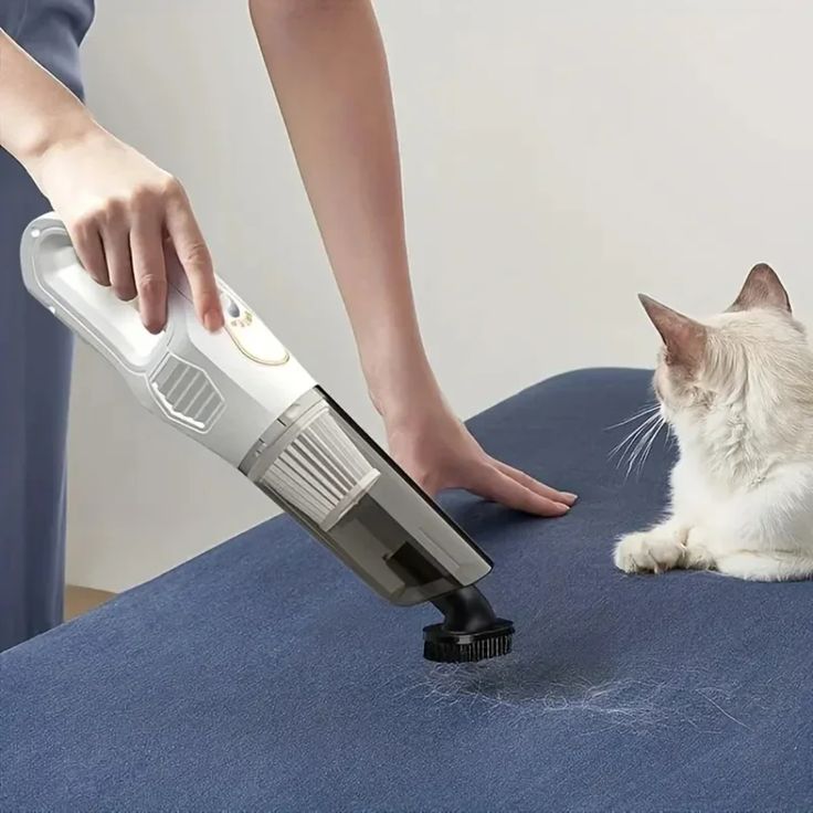 Portable vacuum