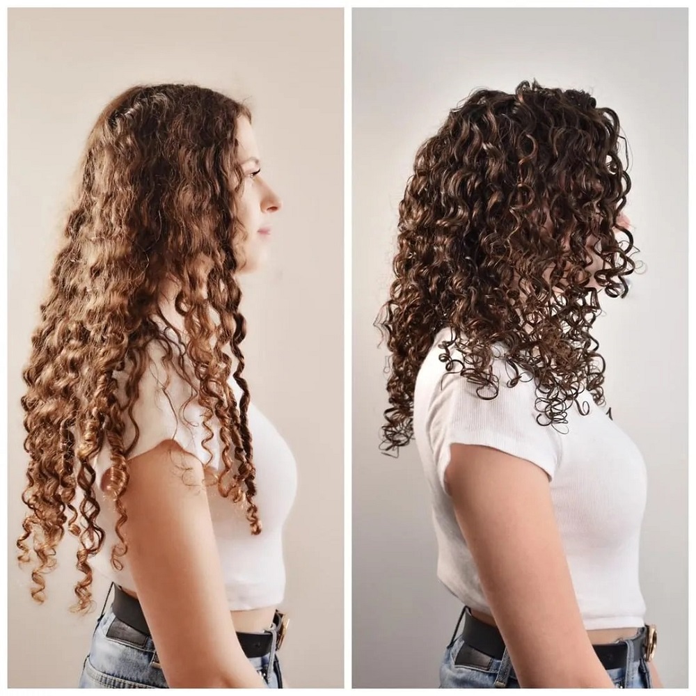 hair dryer diffuser