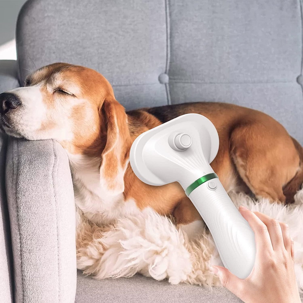 dog blow dryer