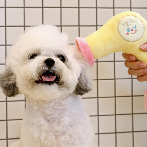 dog blow dryer