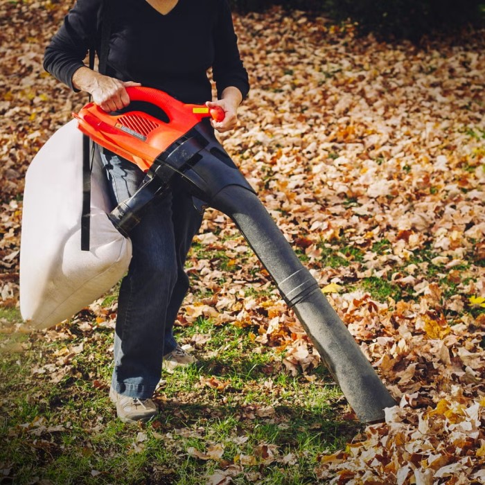 best leaf vacuums