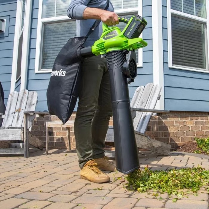 best leaf vacuums