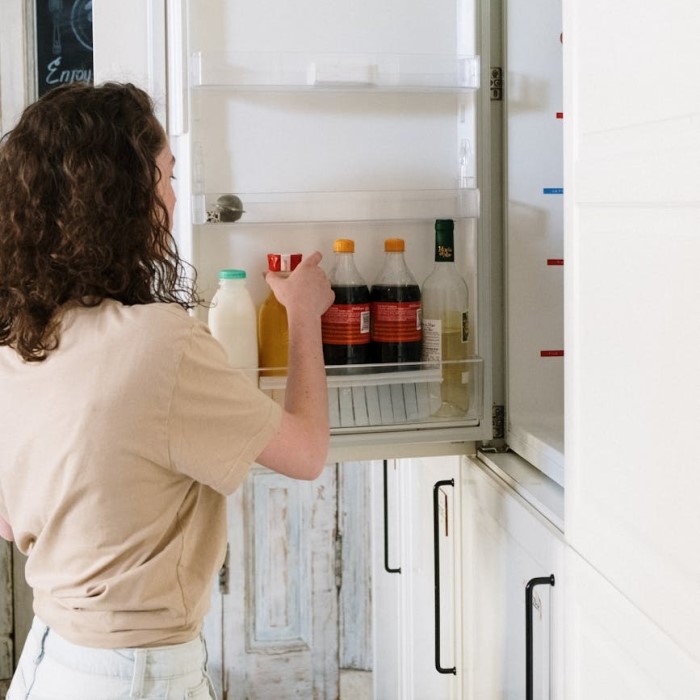 how long can food be in fridge without power