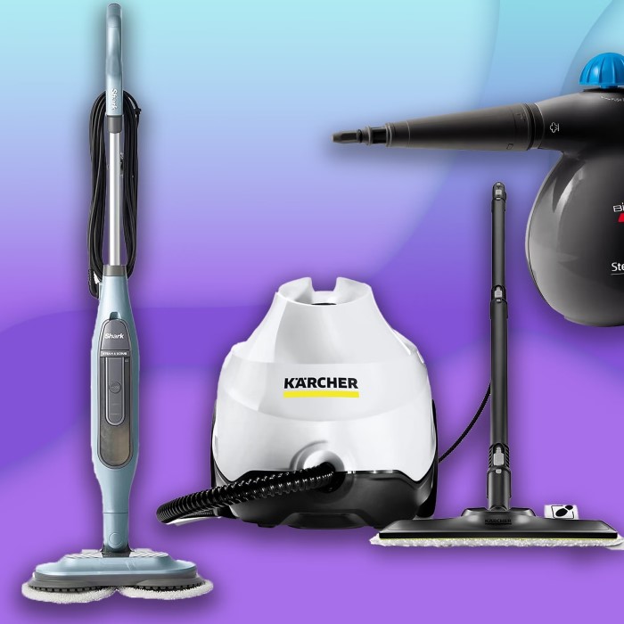best handheld steam cleaner