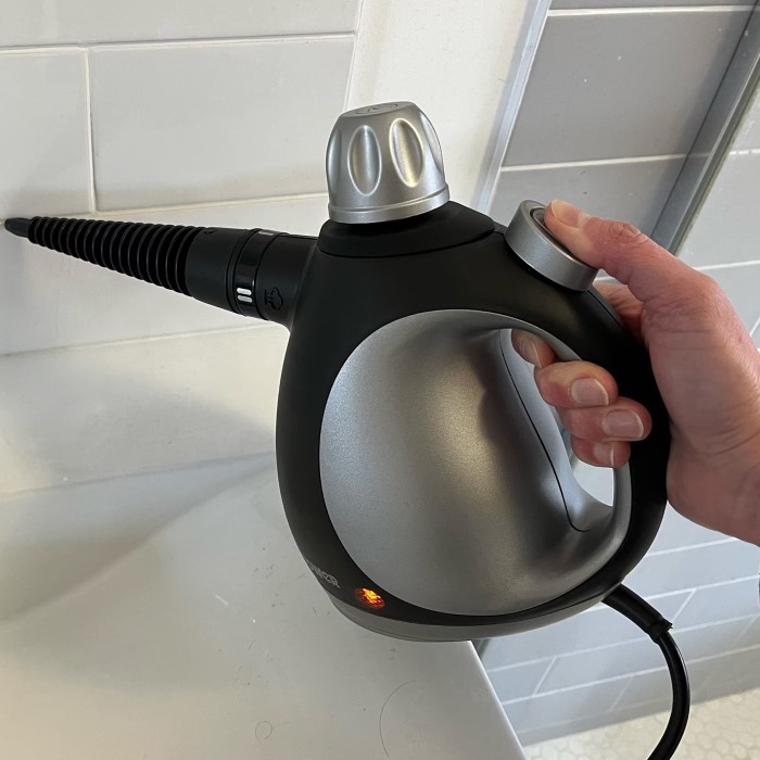 best handheld steam cleaner