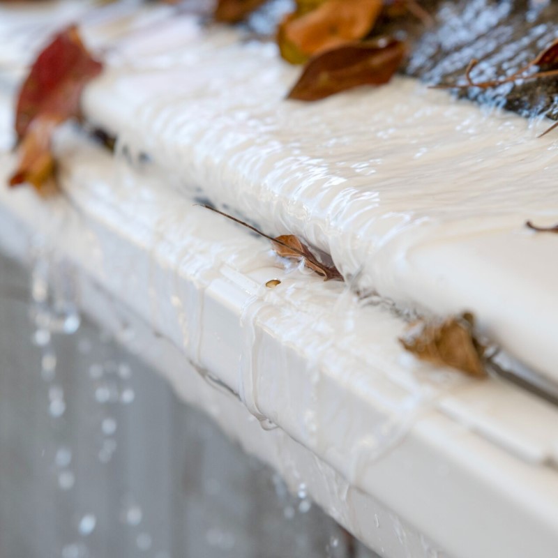 best gutter guard for pine needles