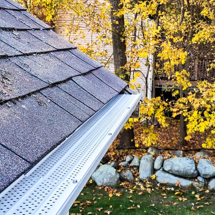 best gutter guard for pine needles