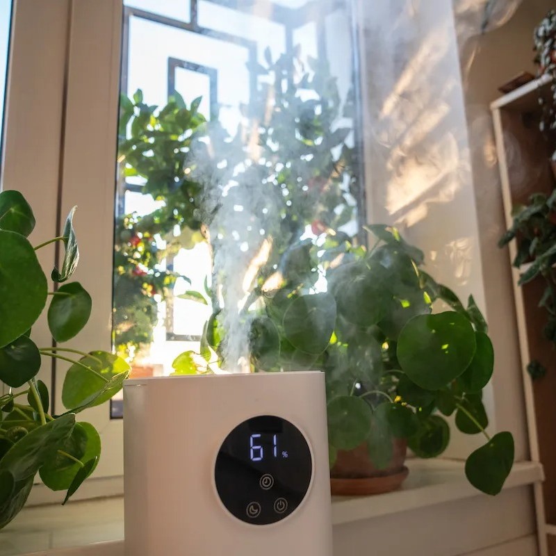 evaporative vs ultrasonic humidifier