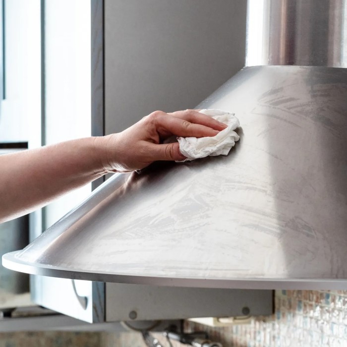 how to clean stainless appliances
