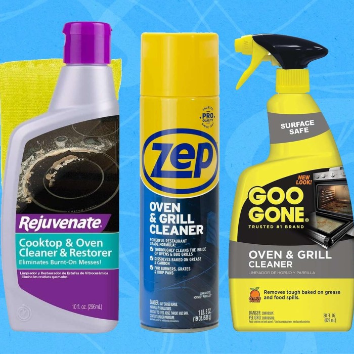 best oven cleaner