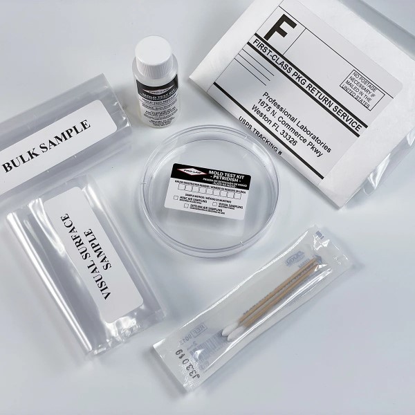black mold test kit