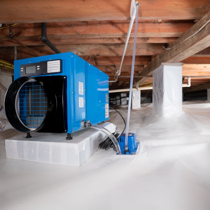 crawl space dehumidifier