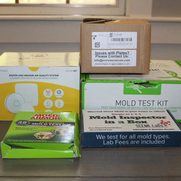 black mold test kit