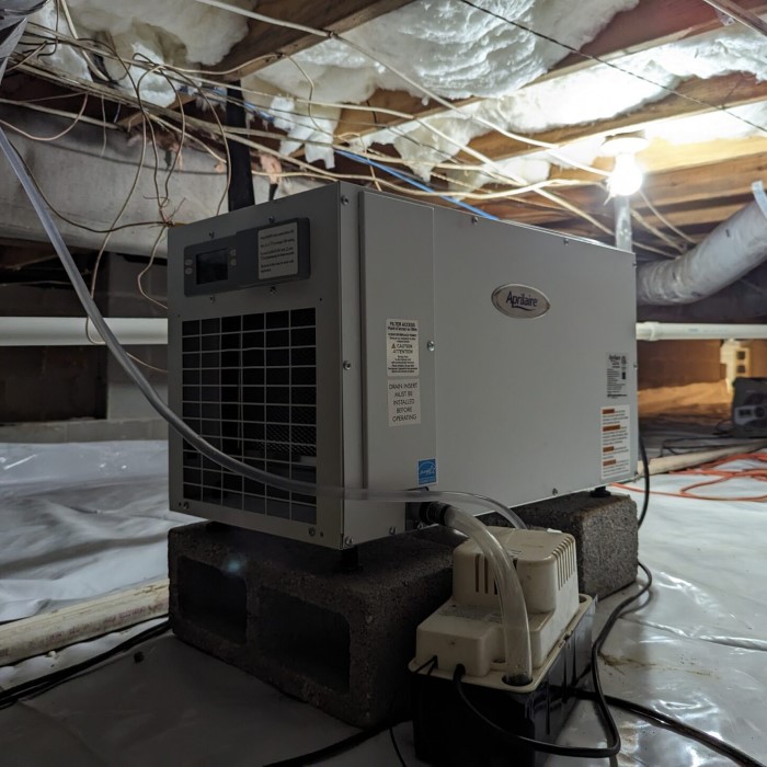 crawl space dehumidifier