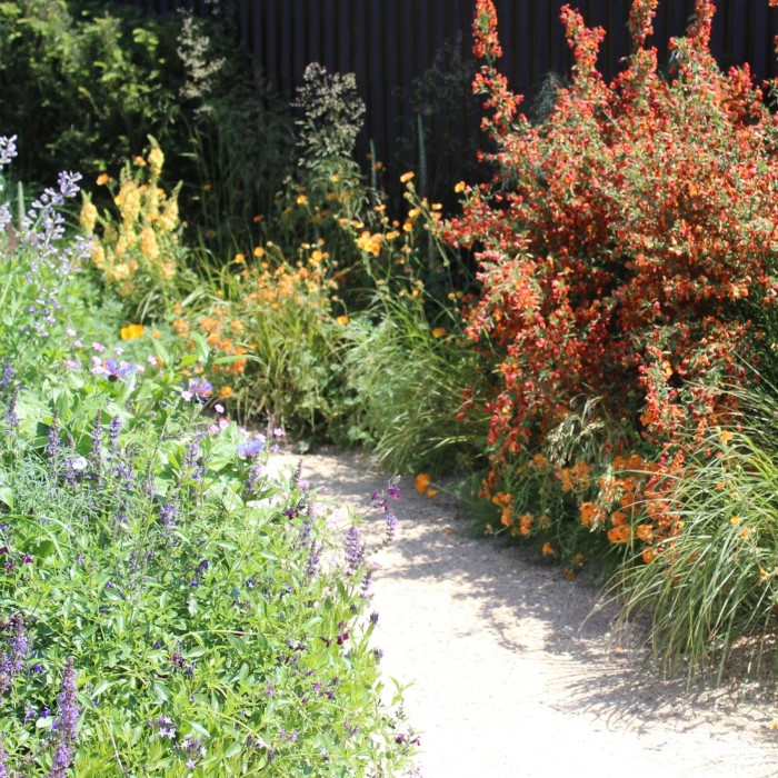 cheap diy garden path ideas